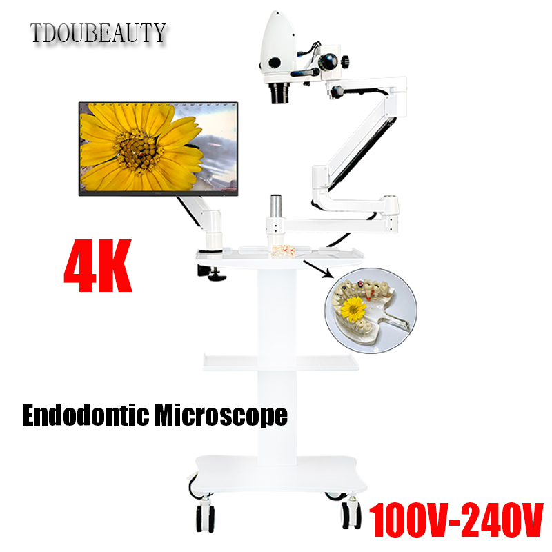 4K Dental Electron Microscope  - Teeth Whitening Video recension och pris