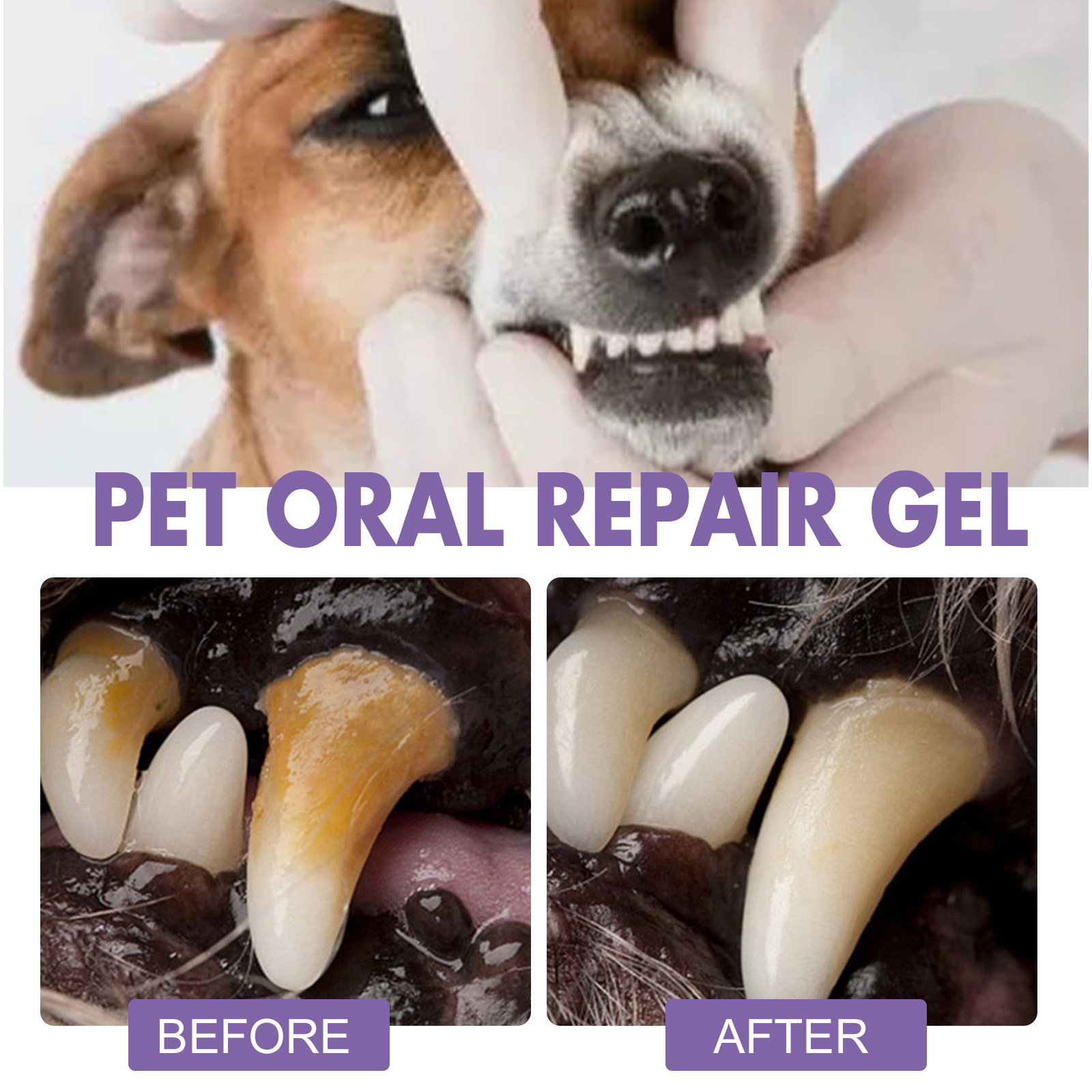 Pet Oral Repair Gel Puppy Tart - Teeth Whitening Price recension och pris