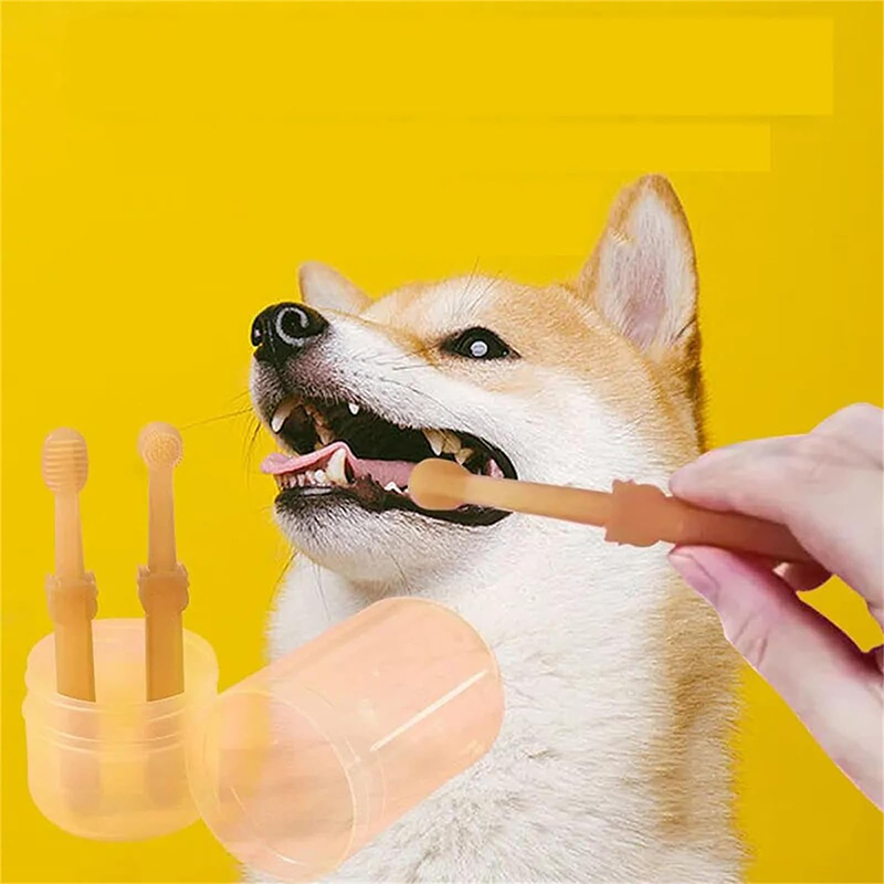 Teeth Whitening Dog Cat Silico - Teeth Whitening Toothpaste recension och pris